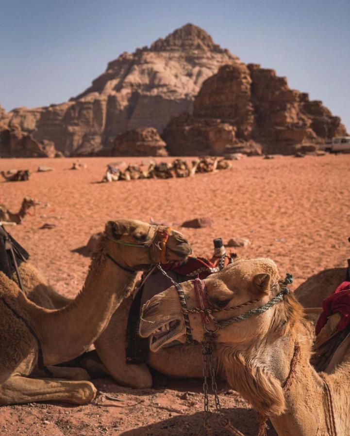 Apartament Sun Luxury Camp &Tour Wadi Rum Zewnętrze zdjęcie